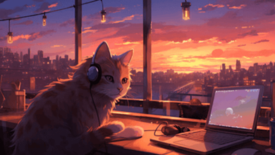 Anime:5vnlw021cuy= Cute:6j_67cx_Pgi= Cat