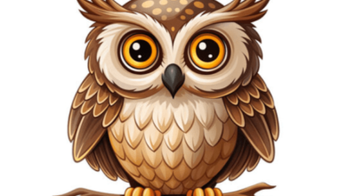 Clip Art:7deyltphdgw= Owl