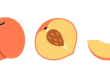 Clipart:Sak7dor2moy= Peach