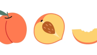 Clipart:Sak7dor2moy= Peach