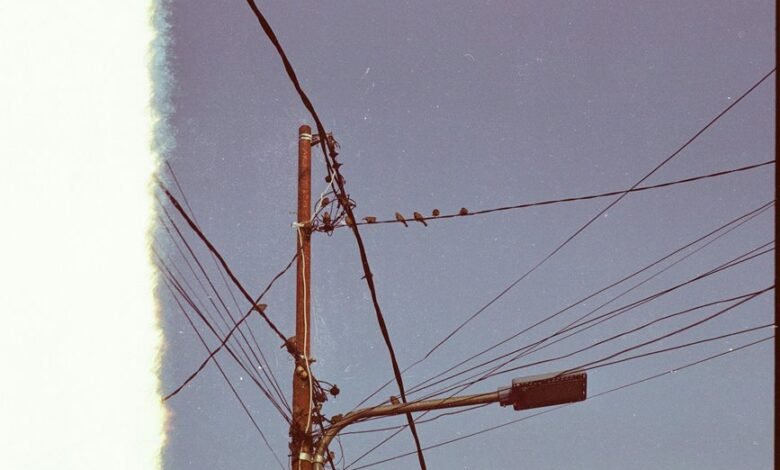 support network overview details