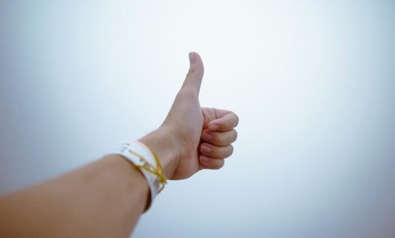 audience optimization success guide