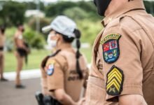 brand authority ranking guide summary