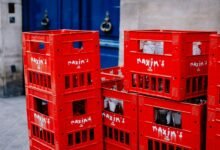 growth guide for digital maximization