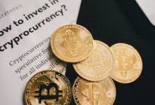 online maximizer growth guide 9 10