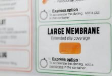 identifier and safety check details