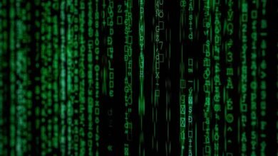 mixed data verification identifiers and numbers