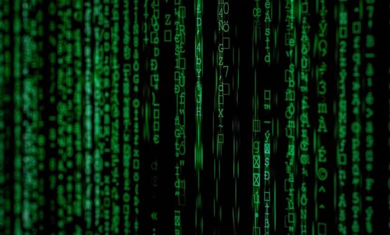 mixed data verification identifiers and numbers