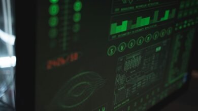 system data verification identifiers and versions