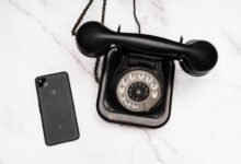 user record validation chamster18 phone numbers listed