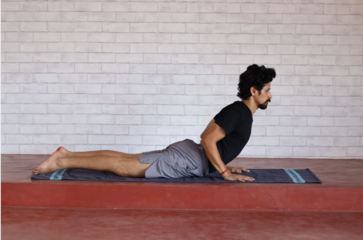 How Do Bhujangasana and Shalabhasana Support Prone Yoga Participation