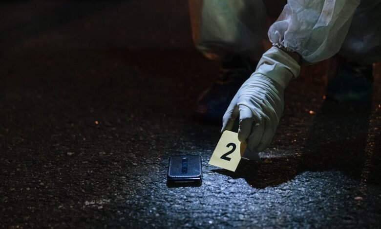 inspect numbers lookup evidence