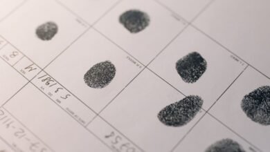 inspect numbers registry evidence