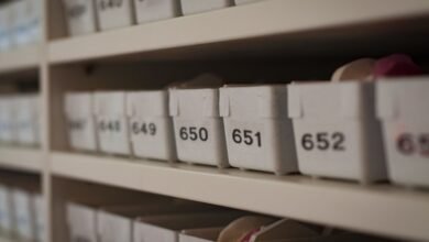 latest caller archive details numbers only