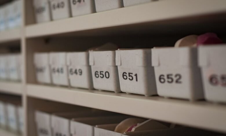 latest caller archive details numbers only
