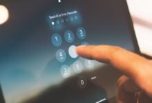 list of numerous phone numbers