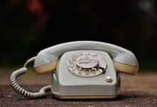 list of phone numbers provided