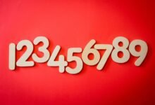 phone numbers for verification provided