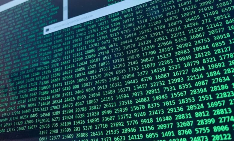 phone numbers for verification service listed