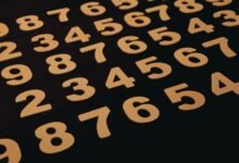 phone numbers list provided