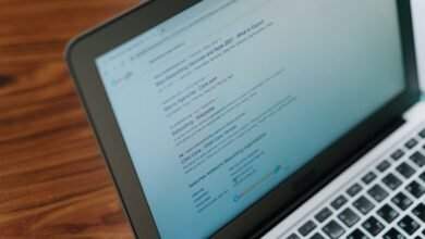registry lookup results for five ids