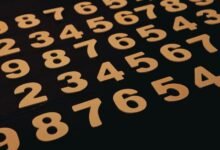 unique number registry references listed